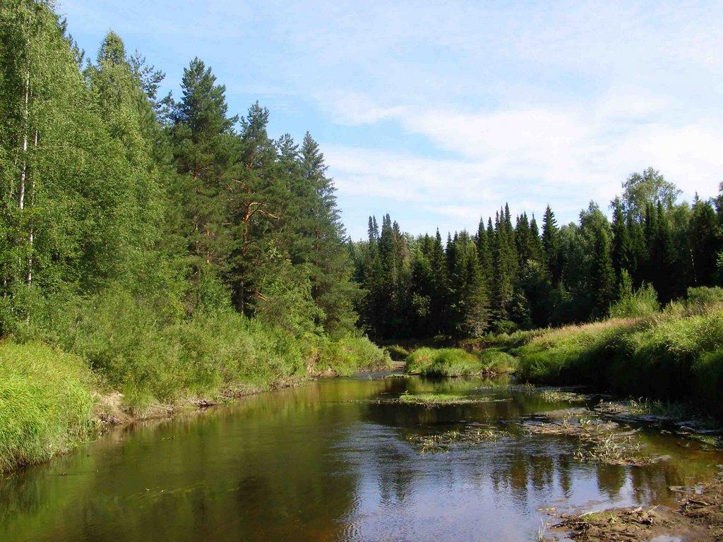 Электричка арья урень