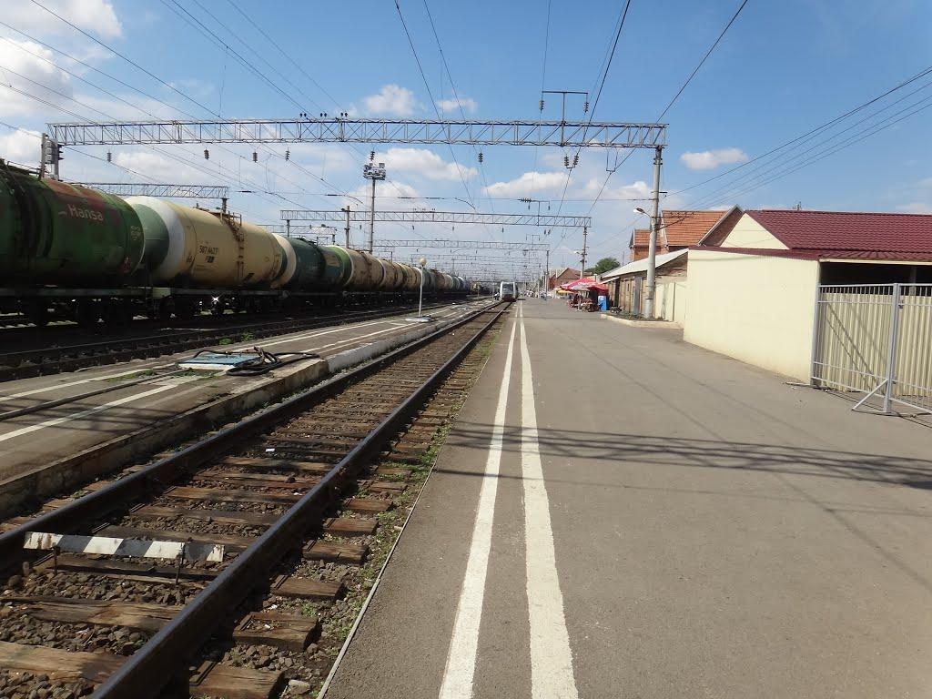 Поезд сальск петербург